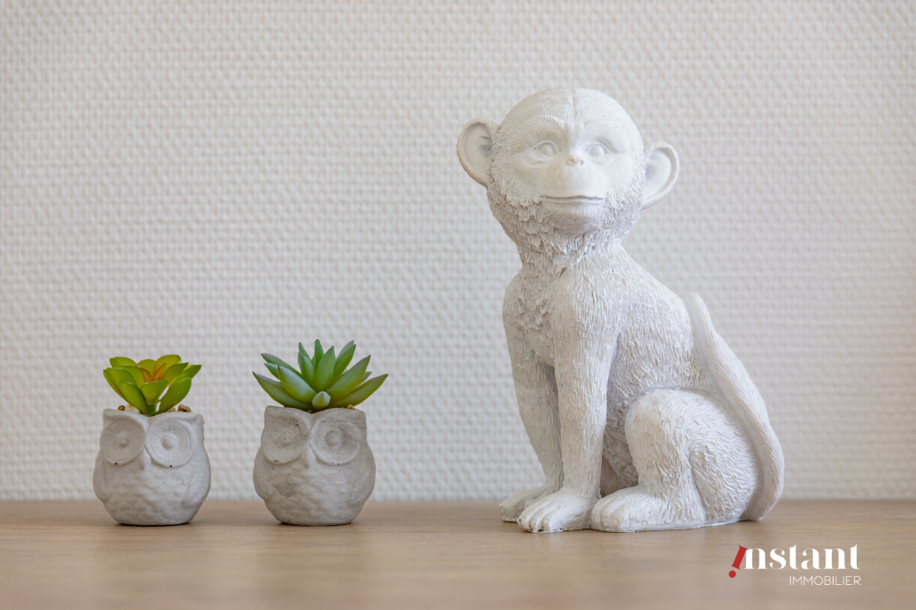 T4 3chambres au pied du métro Gratte Ciel